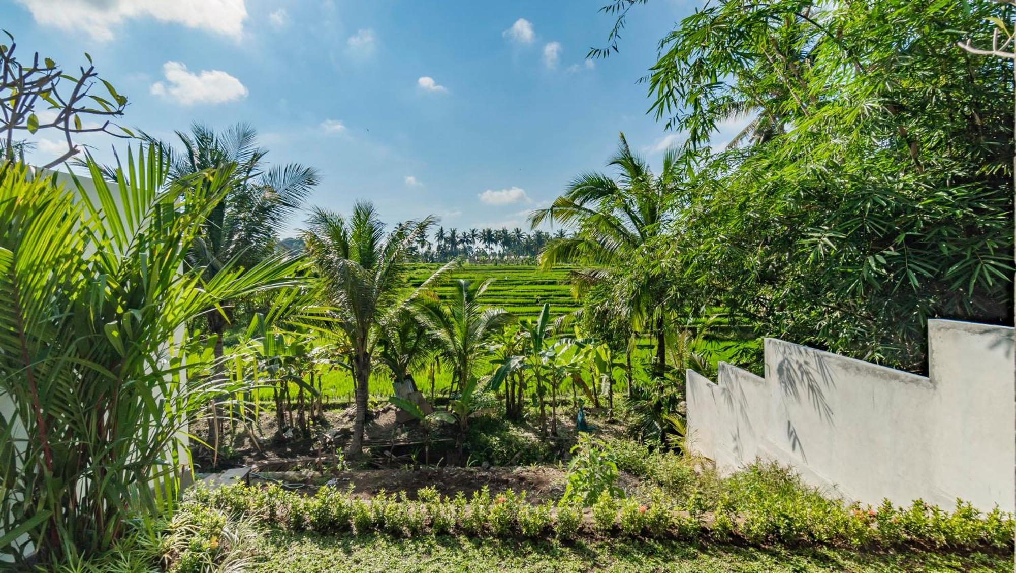 Padi Luwih Villa Ubud  Bagian luar foto